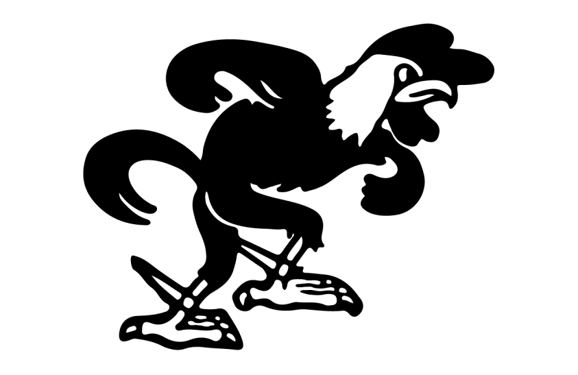 Jacksonville State Gamecocks 2024-Pres Helmet Logo diy iron on heat transfer